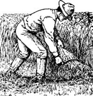 Image result for farmer late eighteenth century