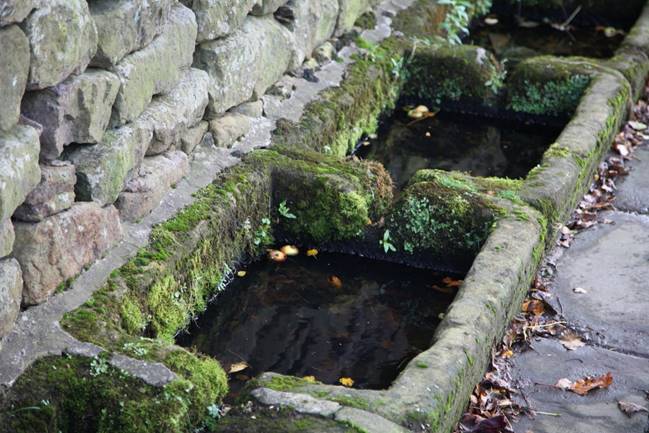 A rectangular stone trough with moss

Description automatically generated with medium confidence