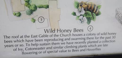 A sign with text and pictures of bees

Description automatically generated