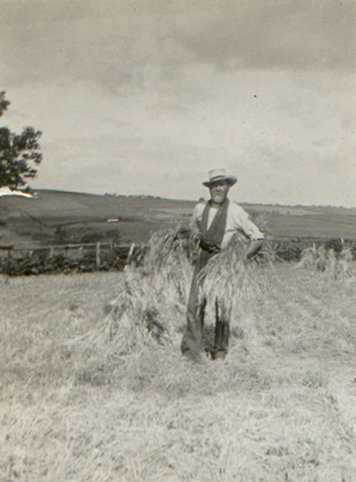 A person standing in a field holding a bundle of hay

Description automatically generated