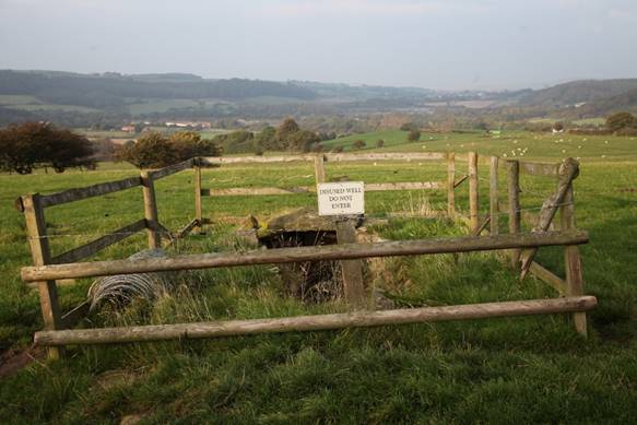 A fenced in pasture with sheep

Description automatically generated