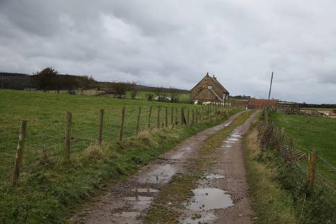 A wet road with a fence and a house in the background

Description automatically generated