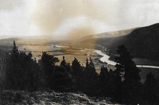 A collection of photos of a landscape
Description automatically generated