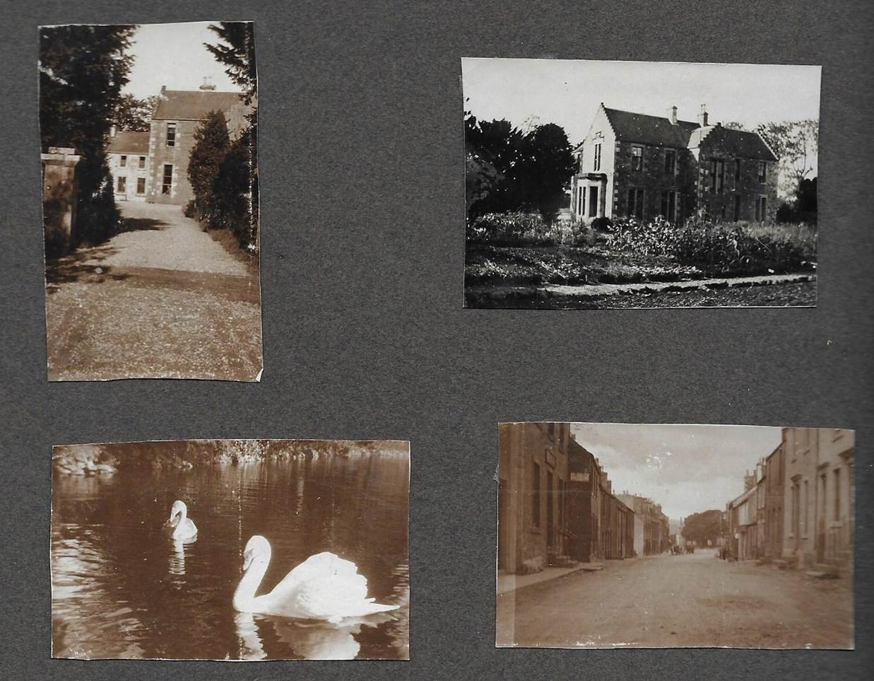 A collection of photos on a blackboard
Description automatically generated