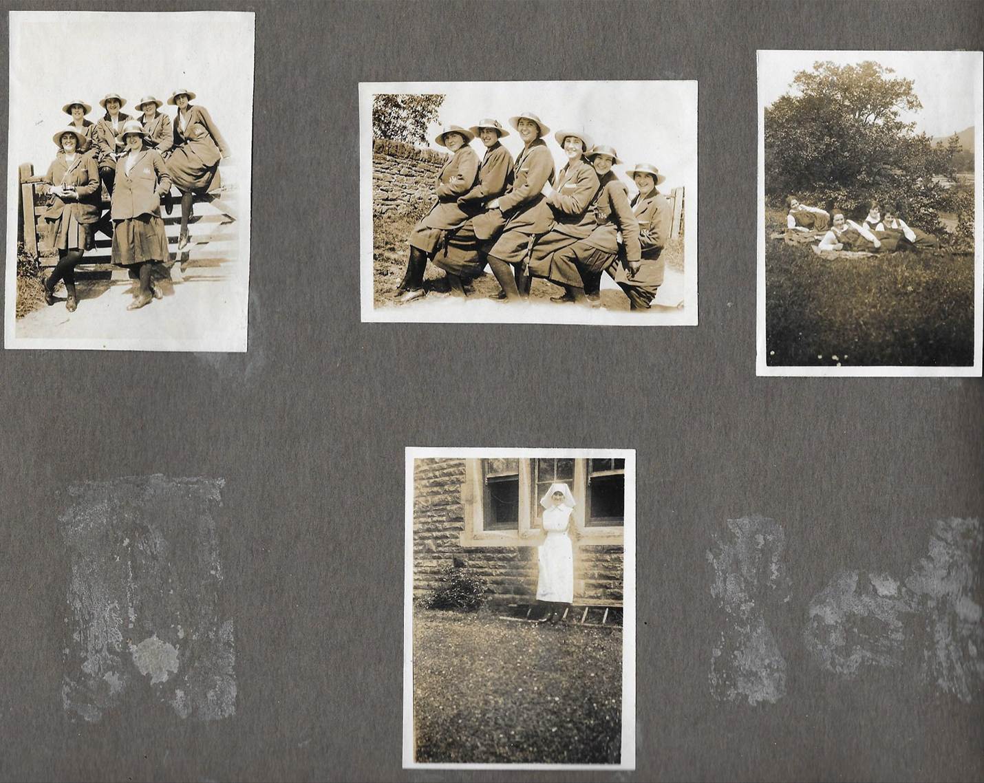 A close-up of several pictures
Description automatically generated