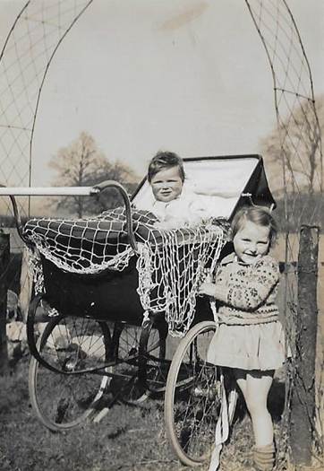 A group of photos of a family
Description automatically generated