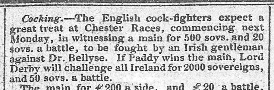 A newspaper article with text
Description automatically generated