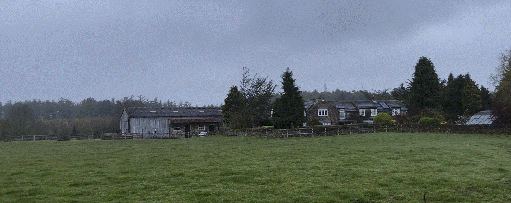 A field of grass with buildings in the background
Description automatically generated