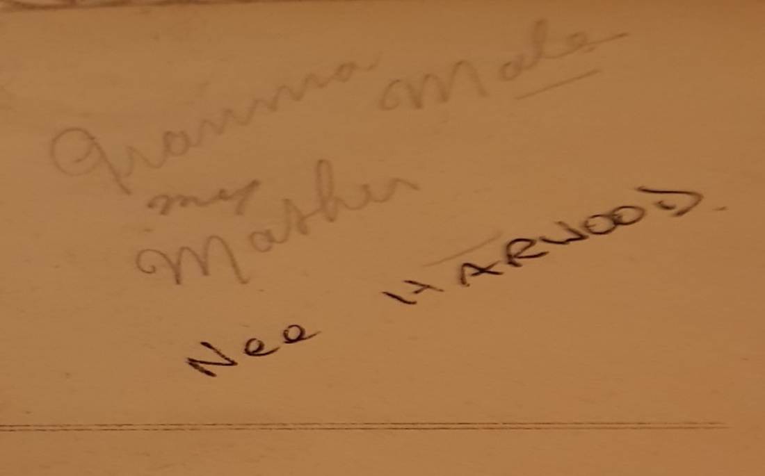 A close-up of a paper
Description automatically generated