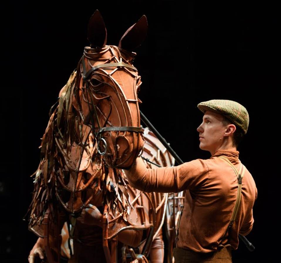 Image result for war horse