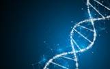 Image result for dna