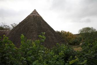 A straw roof in a field
Description automatically generated with medium confidence