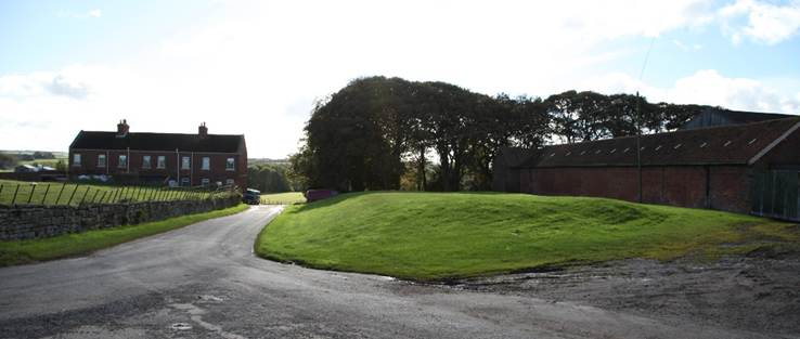A road with a grassy area

Description automatically generated
