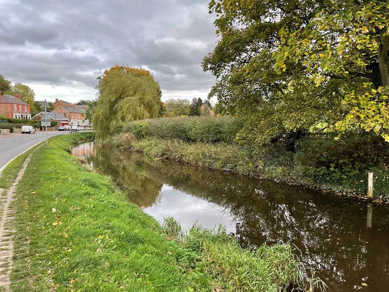 A river with grass and trees
Description automatically generated