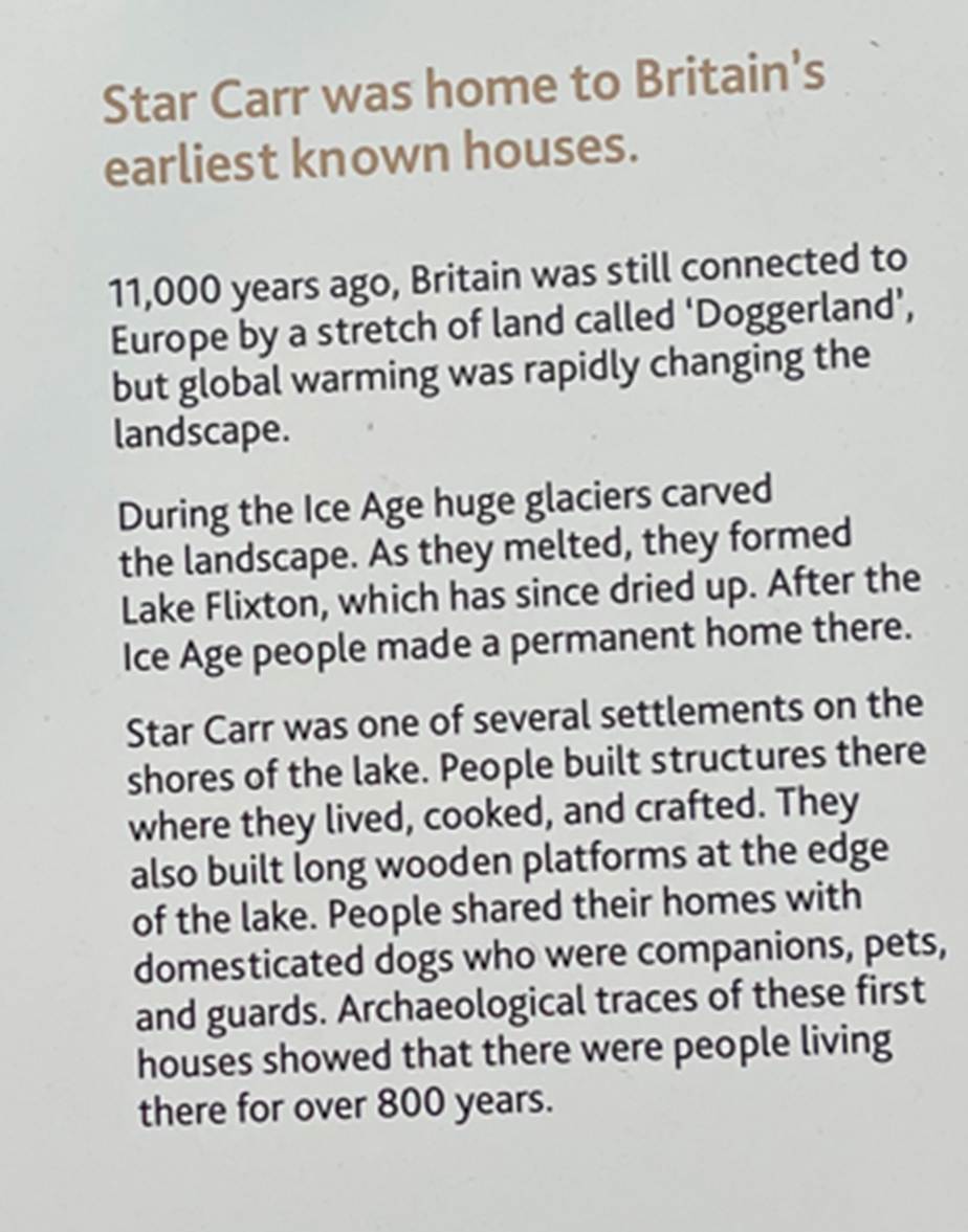A screenshot of a computer
Description automatically generated
