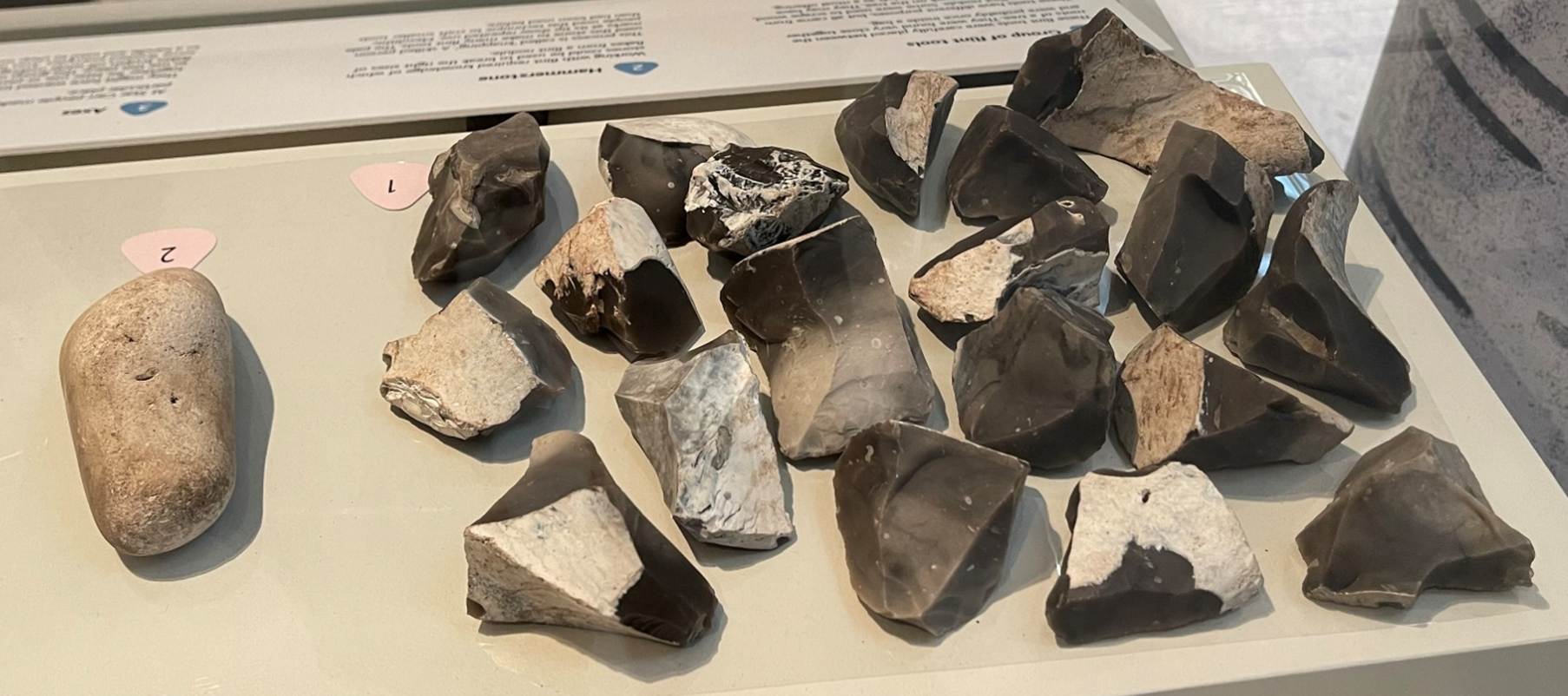 A group of rocks on a display
Description automatically generated