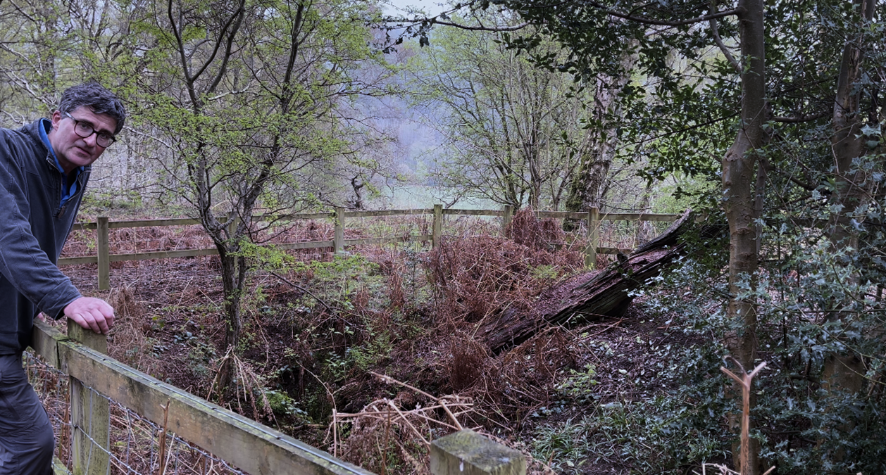 A fence and bushes in a forest
Description automatically generated