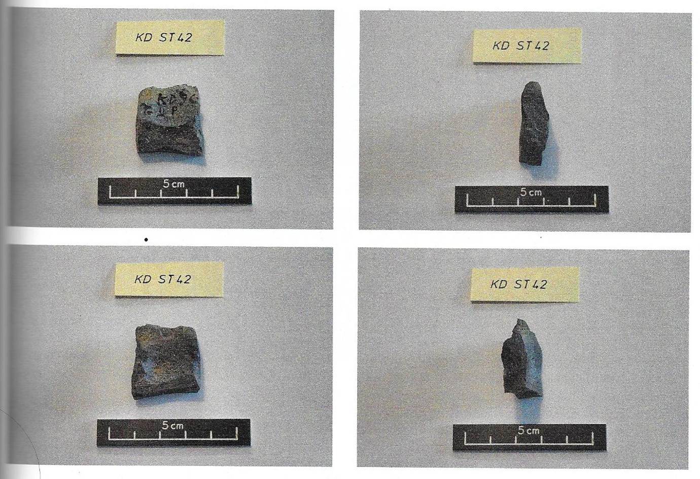 A screenshot of a computer

Description automatically generated