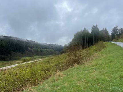 A grassy hill with trees and a road
Description automatically generated