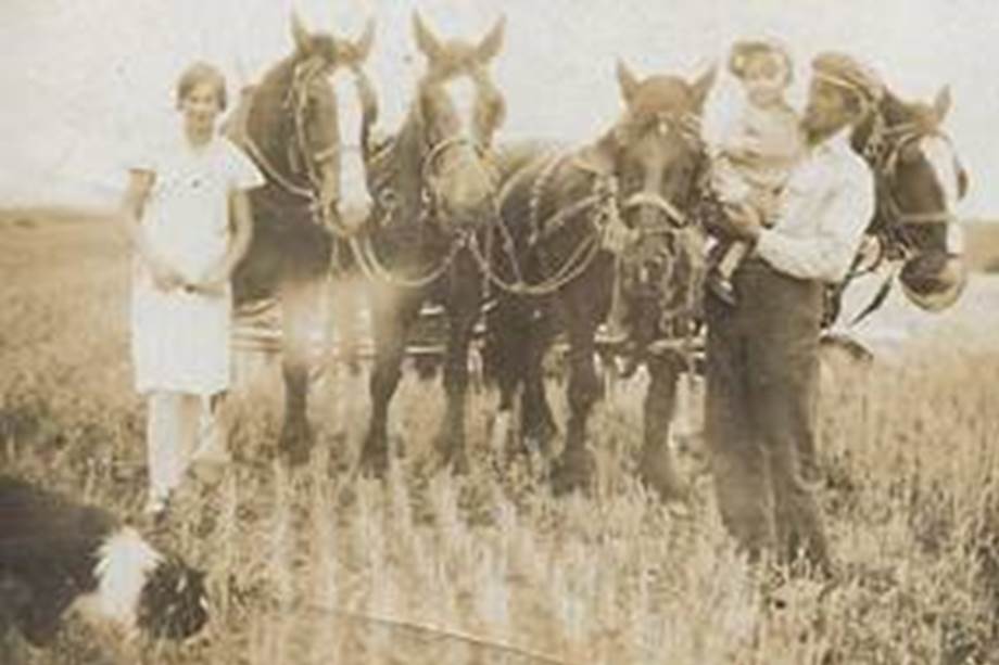 A group of people standing next to horses
Description automatically generated
