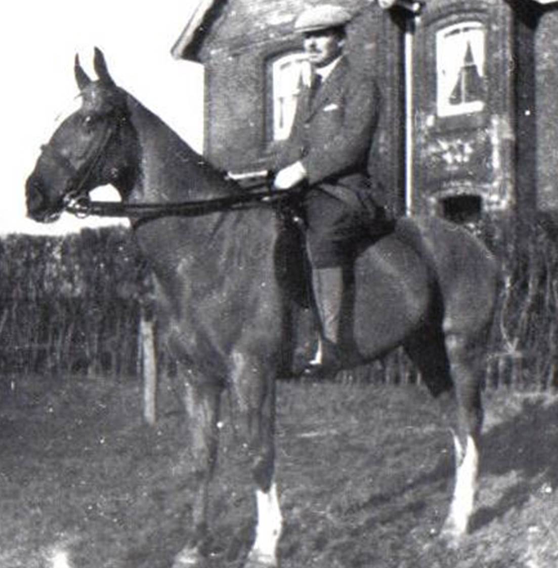 A person riding a horse
Description automatically generated