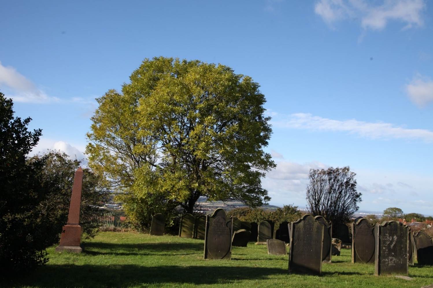 A cemetery with a tree and a blue sky
Description automatically generated