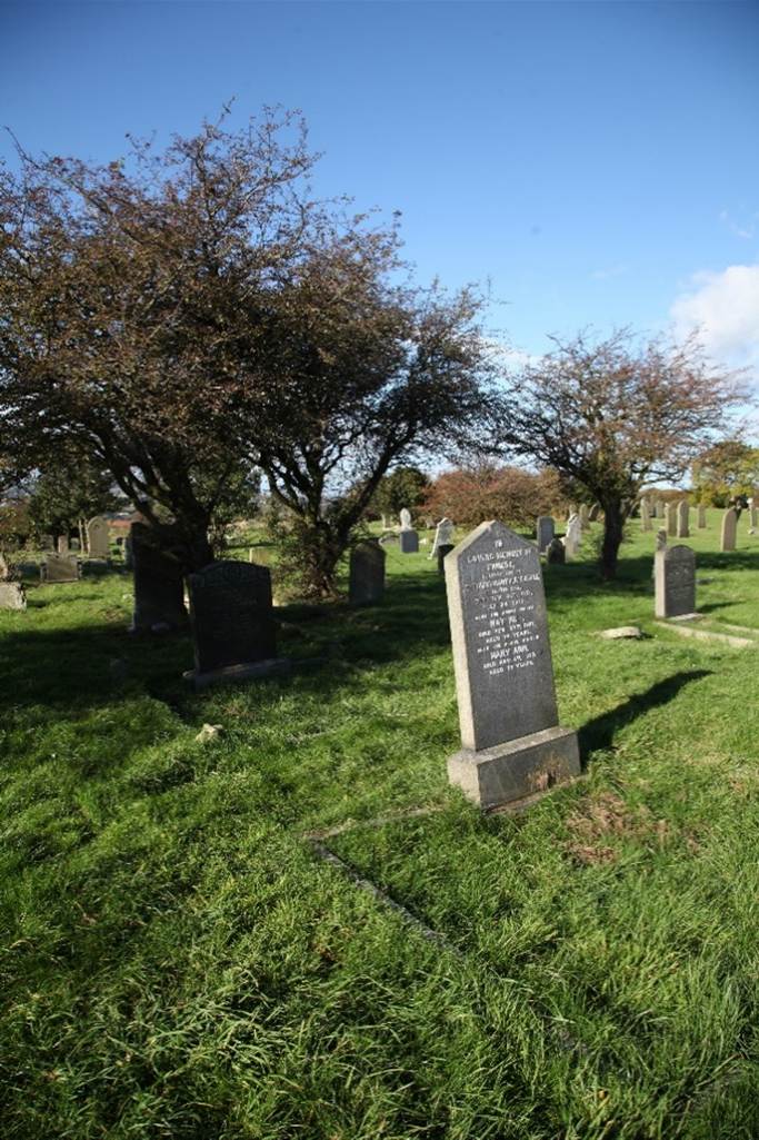 A cemetery with a tree

Description automatically generated