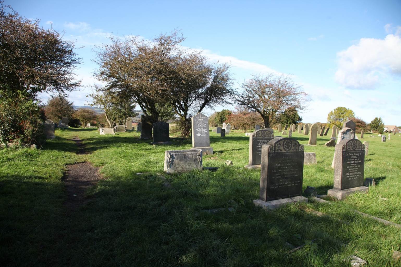 A cemetery with many gravestones
Description automatically generated