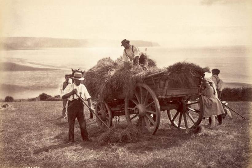 What is an agricultural labourer? | Who Do You Think You Are Magazine