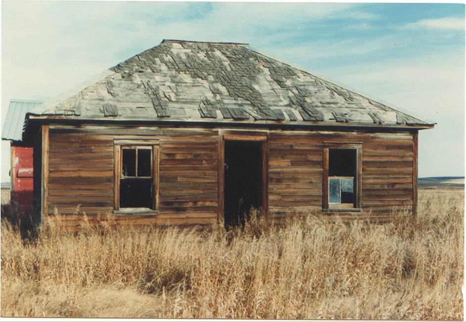 A wooden house in a field

Description automatically generated