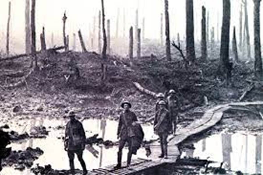 A group of soldiers walking on a wooden path
Description automatically generated