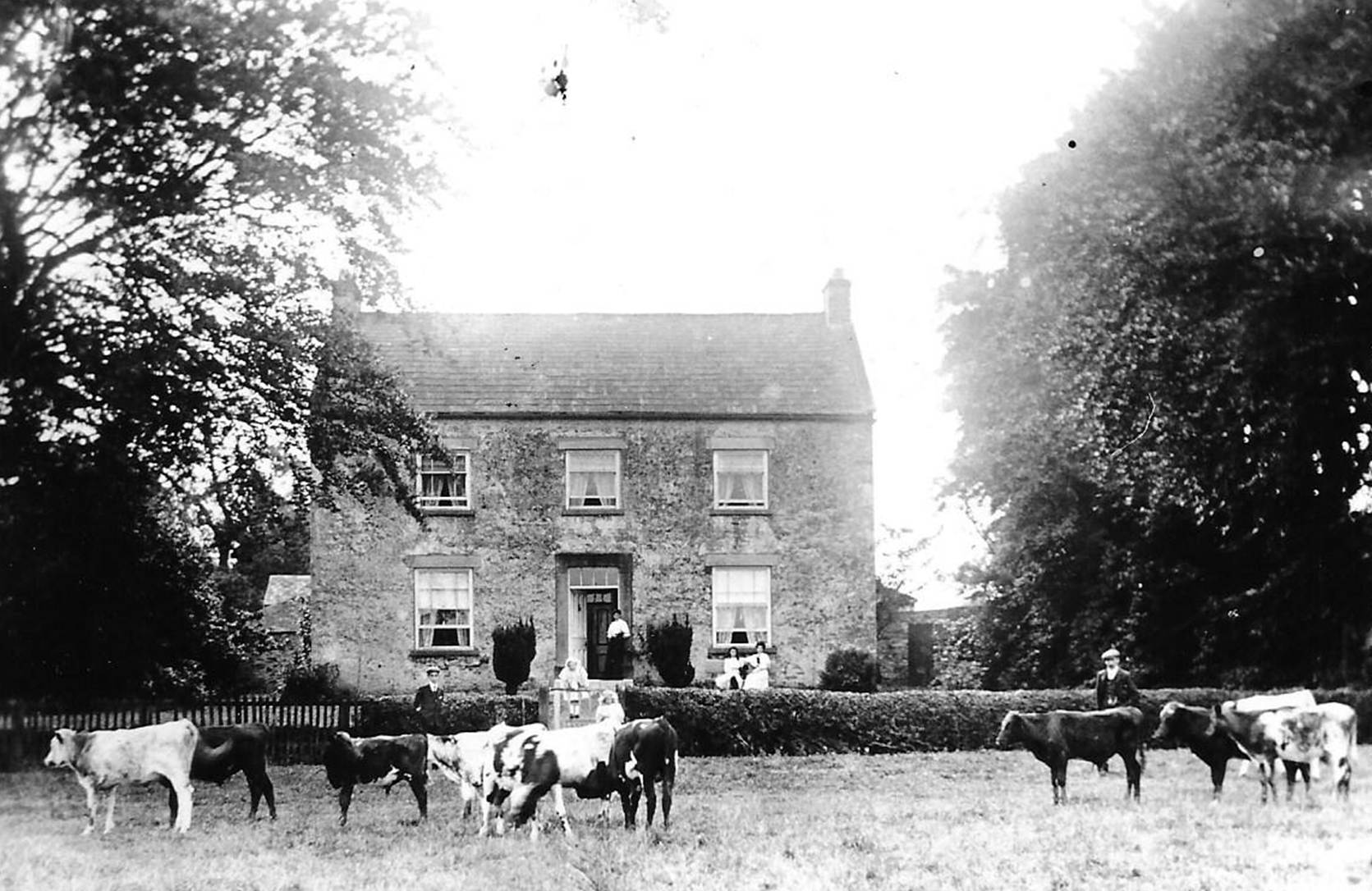A house with cows in the background
AI-generated content may be incorrect.