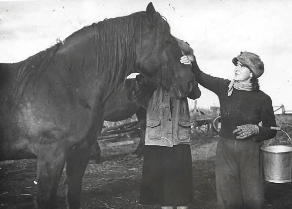 A person petting a horse
AI-generated content may be incorrect.