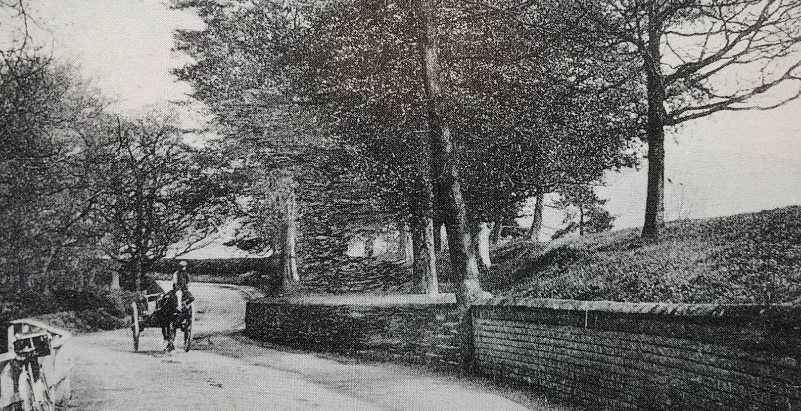 A picture containing tree, outdoor, text
Description automatically generated