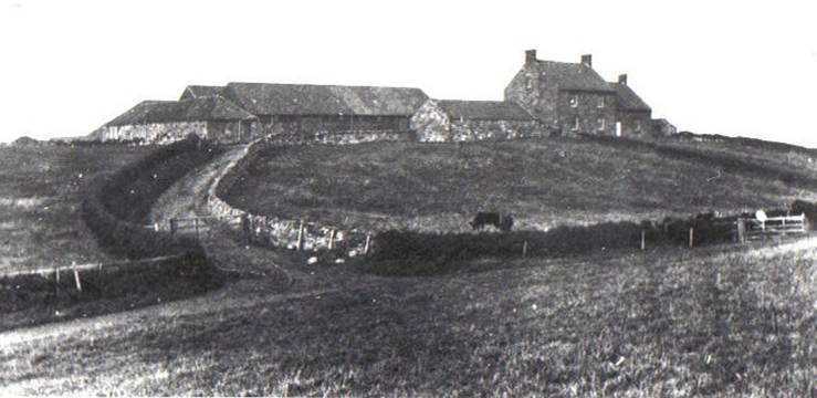 A black and white photo of a house on a hill
Description automatically generated with medium confidence
