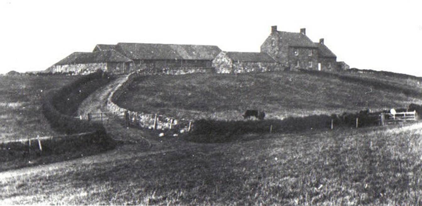 A black and white photo of a house on a hill
Description automatically generated with medium confidence