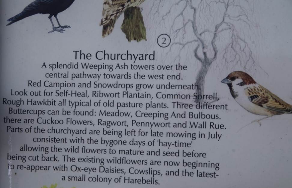 A close up of a sign
Description automatically generated