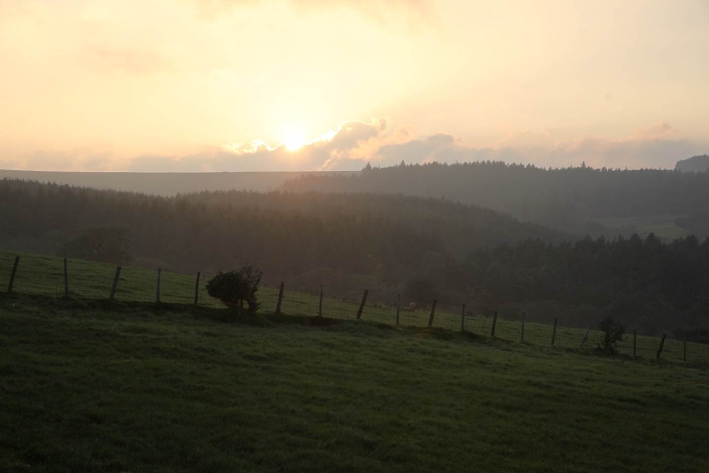 A sunset over a grassy field
Description automatically generated